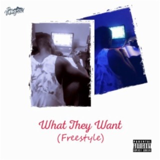 What They Want (Freestyle)