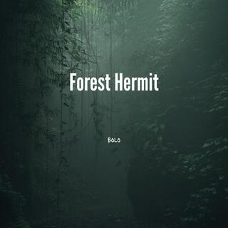 Forest Hermit