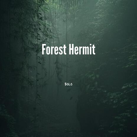 Forest Hermit | Boomplay Music