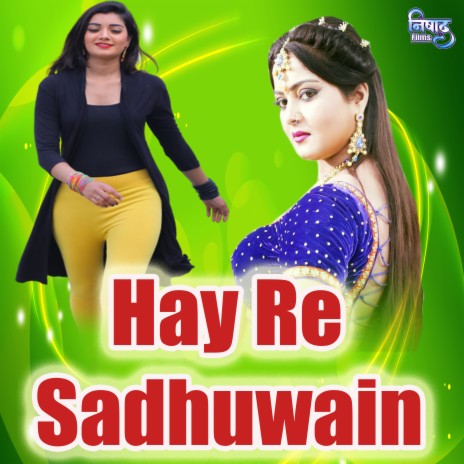 Hay Re Sadhuwain | Boomplay Music