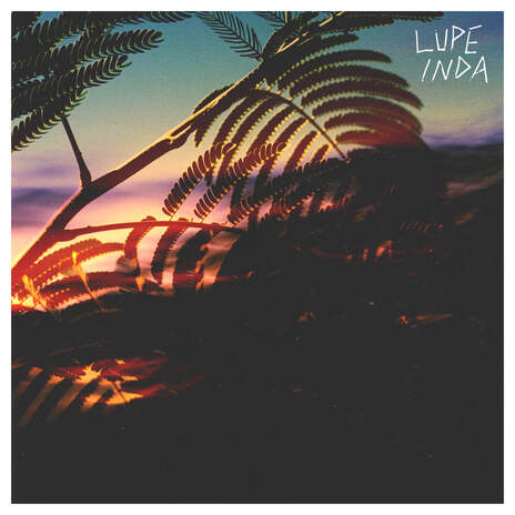 Lula Under Palm Trees | Boomplay Music