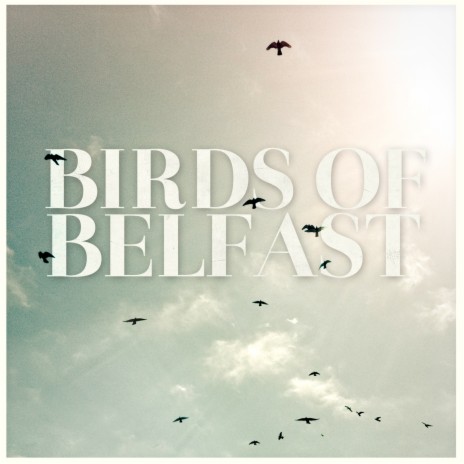 Birds of Belfast | Boomplay Music