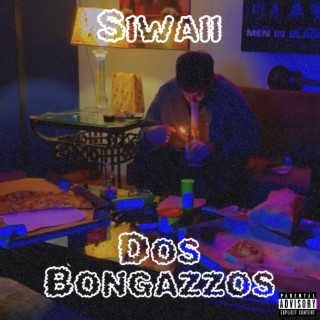 Dos Bongazzos lyrics | Boomplay Music