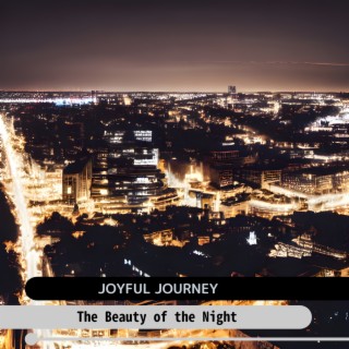 The Beauty of the Night