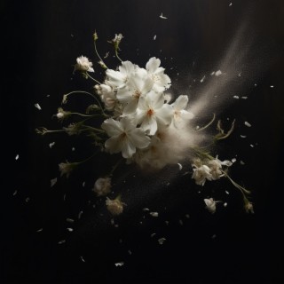 Falling flower lyrics | Boomplay Music