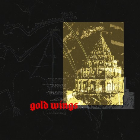 Gold Wings | Boomplay Music