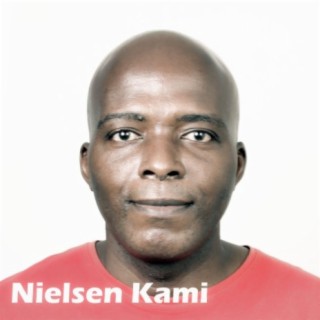 Nielsen Kami