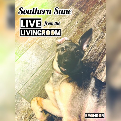 Southern Sane (Live from The Living Room) | Boomplay Music