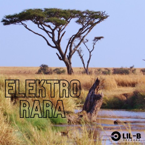 Elektro RARA | Boomplay Music