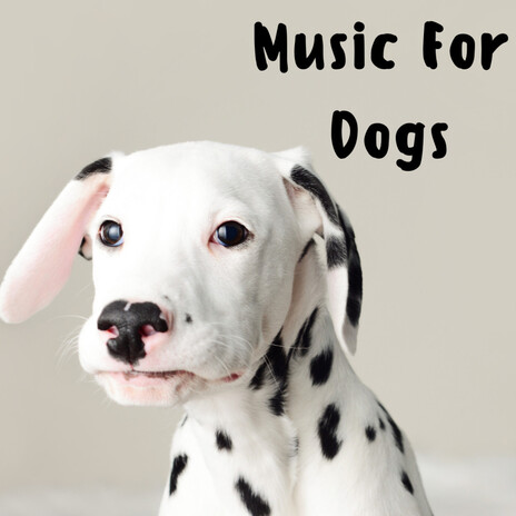 Music To Help My Dog Go To Sleep ft. Music For Dogs Peace, Relaxing Puppy Music & Calm Pets Music Academy | Boomplay Music