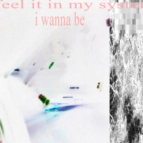i wanna be (feel it in my system)