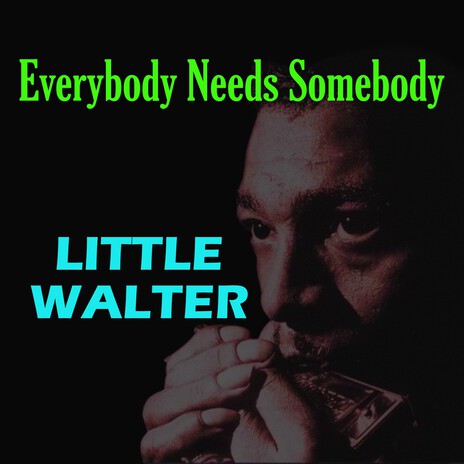 Everybody Needs Somebody | Boomplay Music