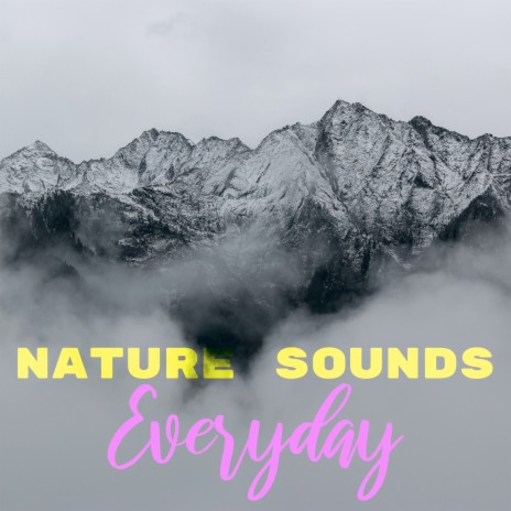 Thunder Strike ft. Calming Rainforest Sounds & Sonido Del Bosque y Naturaleza | Boomplay Music