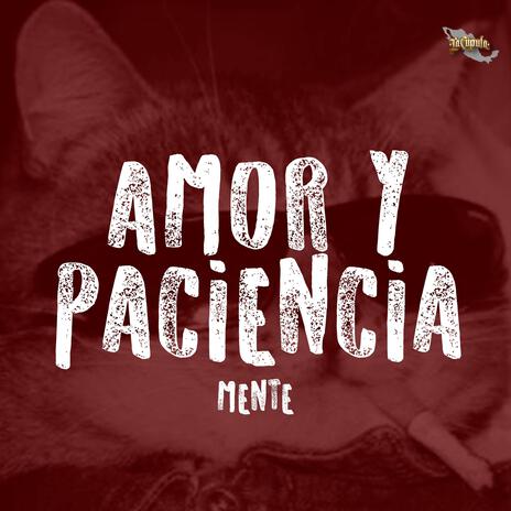 Amor Y Paciencia | Boomplay Music