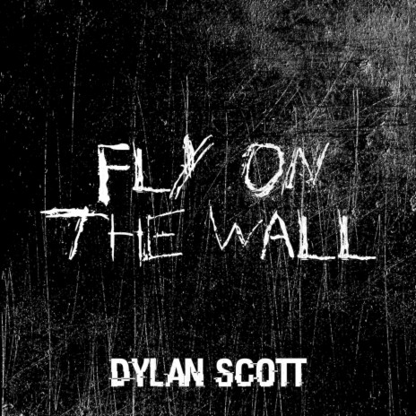 Fly on the Wall | Boomplay Music