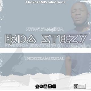 Habo steezy (Radio Edit)