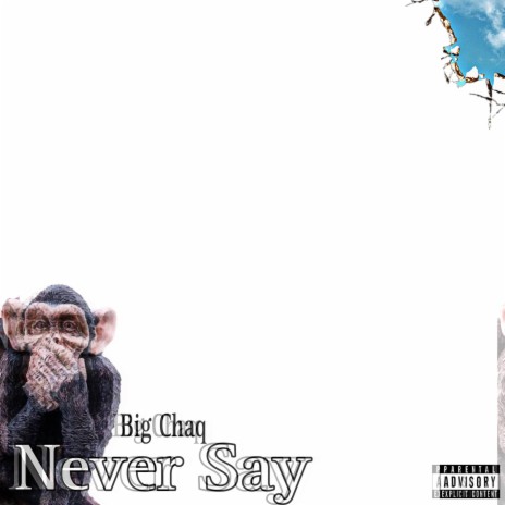 Never Say | Boomplay Music