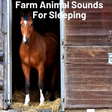 Farm Animal Sounds For Sleeping Cow Horse in Barn Chicken Birds 1 Hour Relaxing Nature Ambience Yoga Meditation Sounds For Sleeping Relaxation or Studying