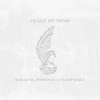 Peace Of Mind ft. KAATWALK lyrics | Boomplay Music