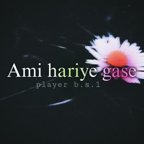 Ami hariye gase