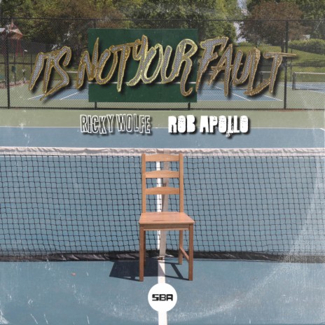 It's Not Your Fault (feat. Rob Apollo) | Boomplay Music