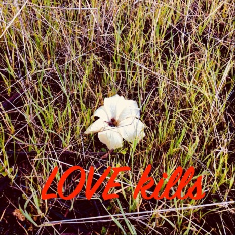 Love Kills | Boomplay Music