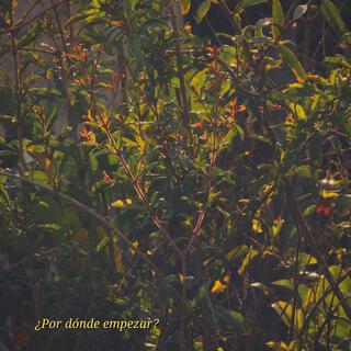 ¿Por dónde empezar? lyrics | Boomplay Music