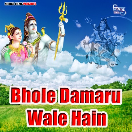 Bhole Damaru Wale Hain | Boomplay Music