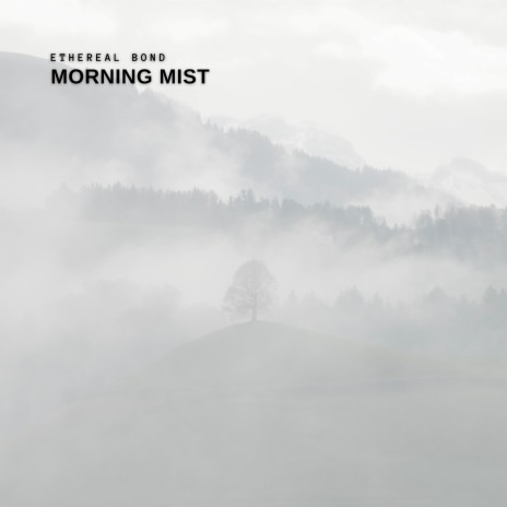 Morning Mist | Boomplay Music