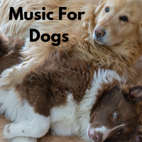 Joyful Sleep ft. Music For Dogs Peace, Relaxing Puppy Music & Calm Pets Music Academy | Boomplay Music
