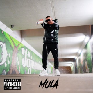 MULA lyrics | Boomplay Music