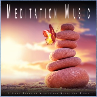 Meditation Music: 1 Hour Relaxing Meditation Music for Peace