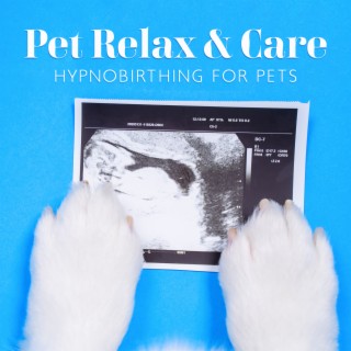 Pet Relax & Care: Hypnobirthing for Pets