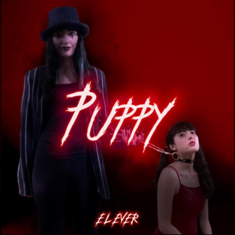 Puppy | Boomplay Music