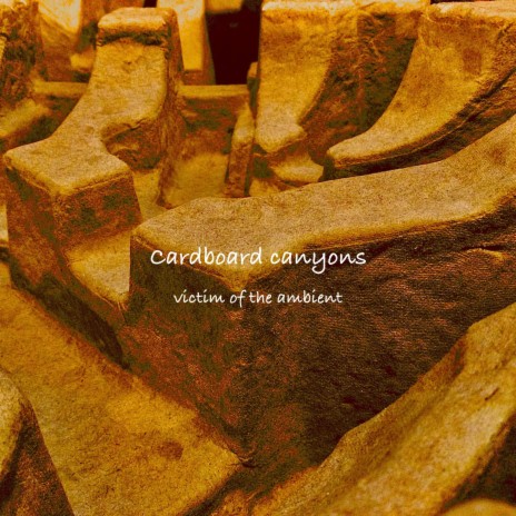 Cardboard Canyons | Boomplay Music