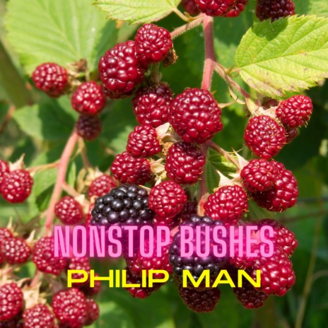 Nonstop Bushes | Boomplay Music