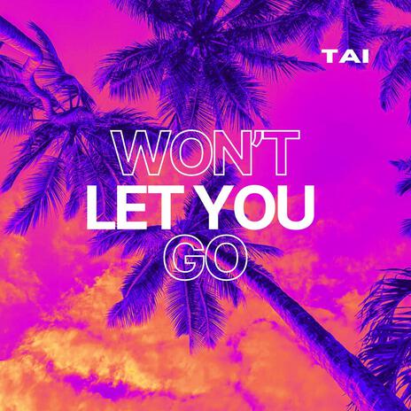 Won't Let You Go | Boomplay Music