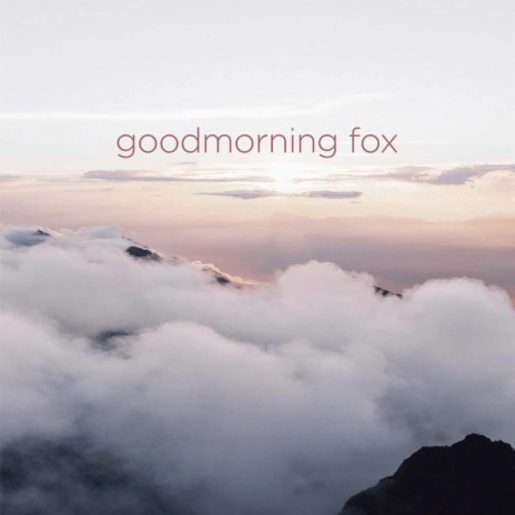 goodmorning fox