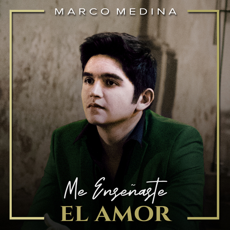 Me Enseñaste el Amor | Boomplay Music