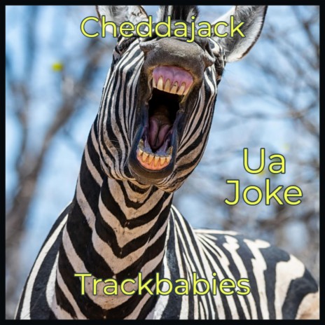 Ua Joke | Boomplay Music