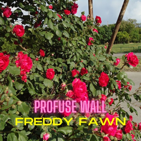 Profuse Wall | Boomplay Music