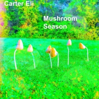 Mushroom Season