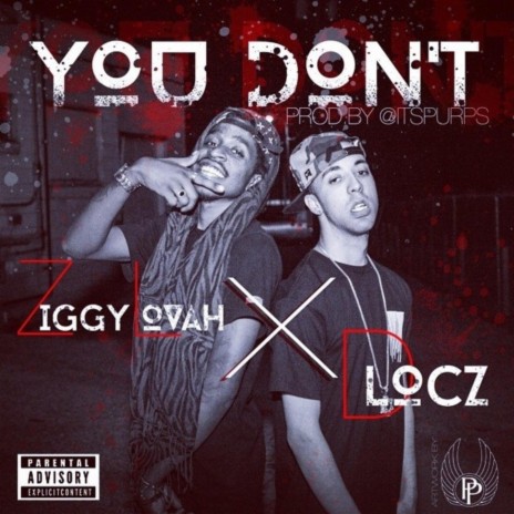 You Don't Love (feat. Ziggy Lovah)