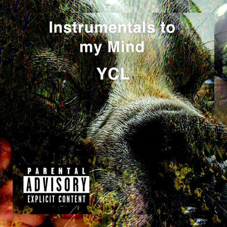 Instrumentals To My Mind