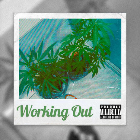 Working Out | Boomplay Music