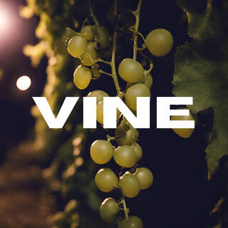 VINE