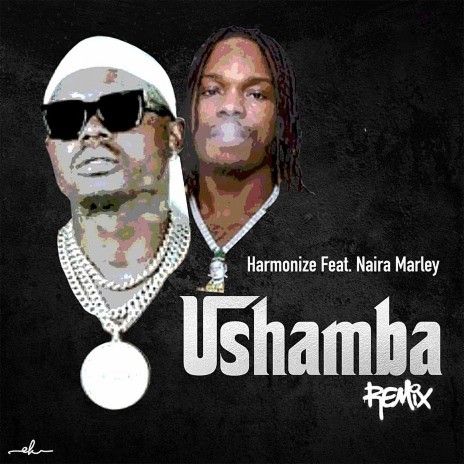 Ushamba Remix feat. Naira Marley | Boomplay Music
