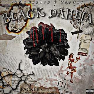 Black Dahlia