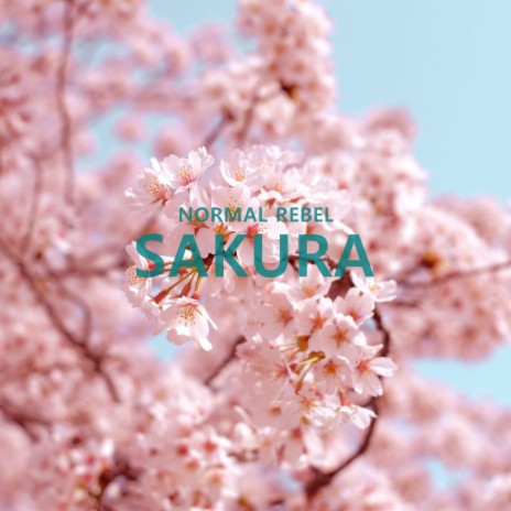 Sakura | Boomplay Music