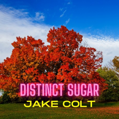 Distinct Sugar | Boomplay Music